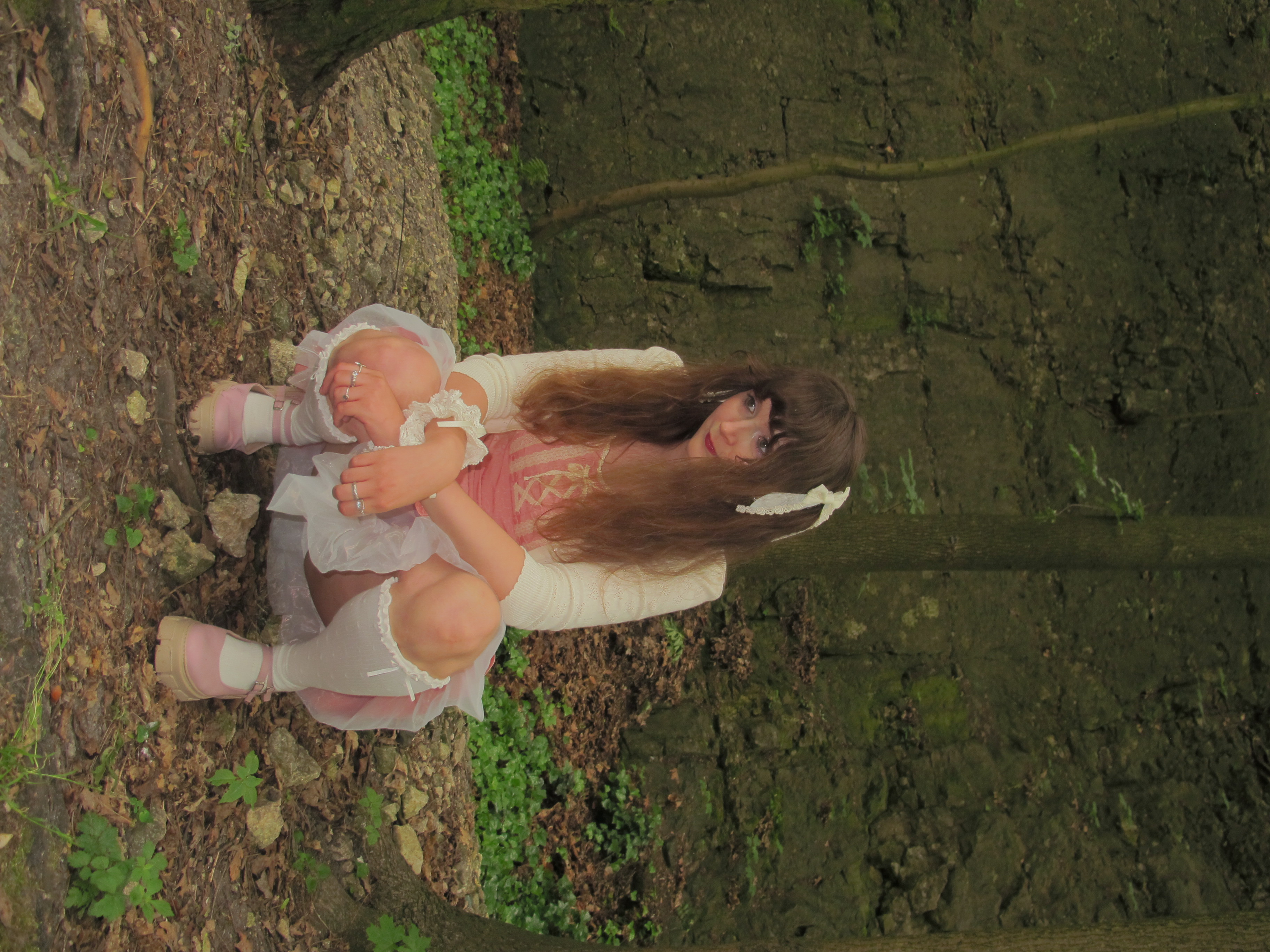 Photograph 25