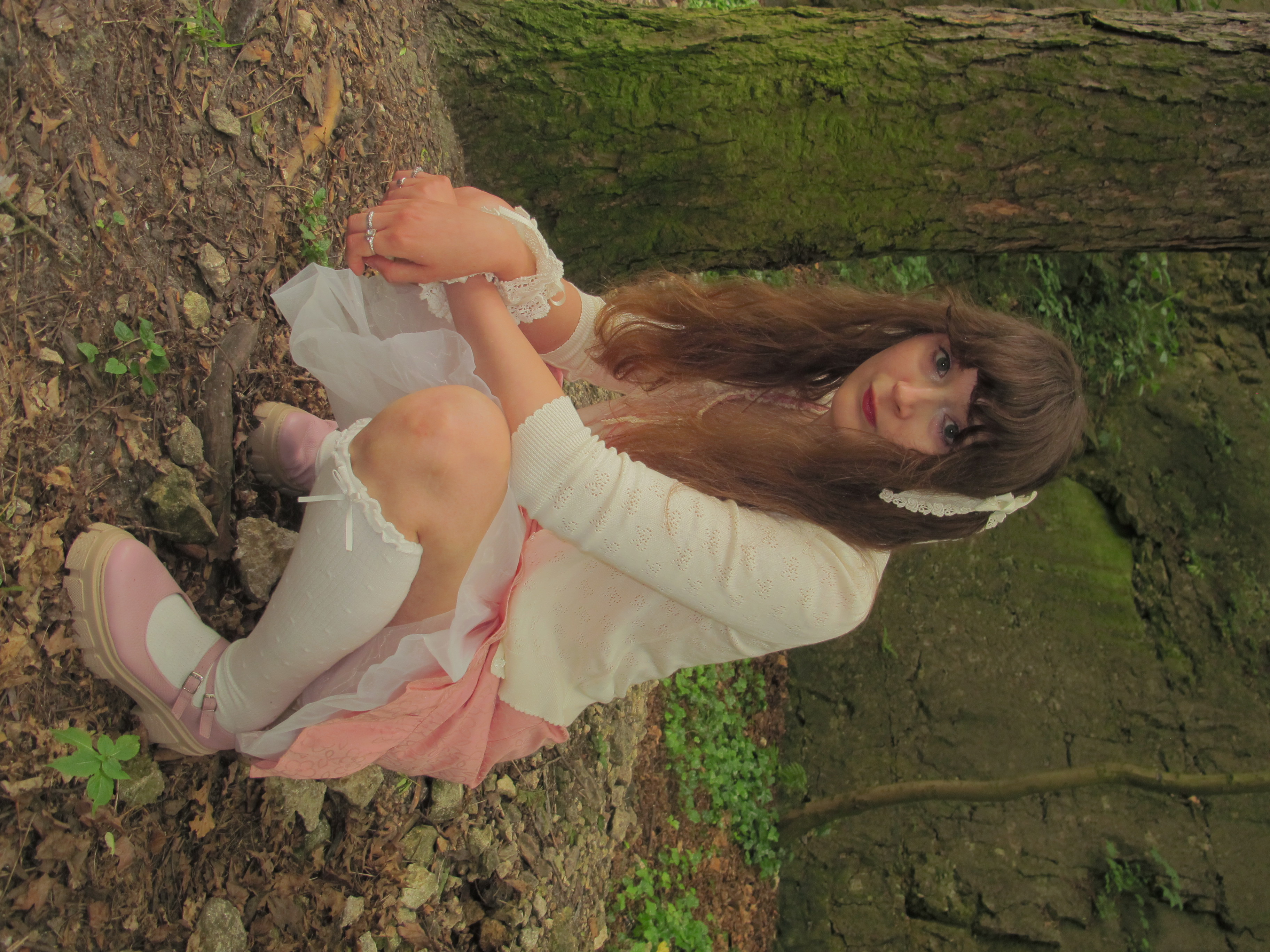Photograph 24