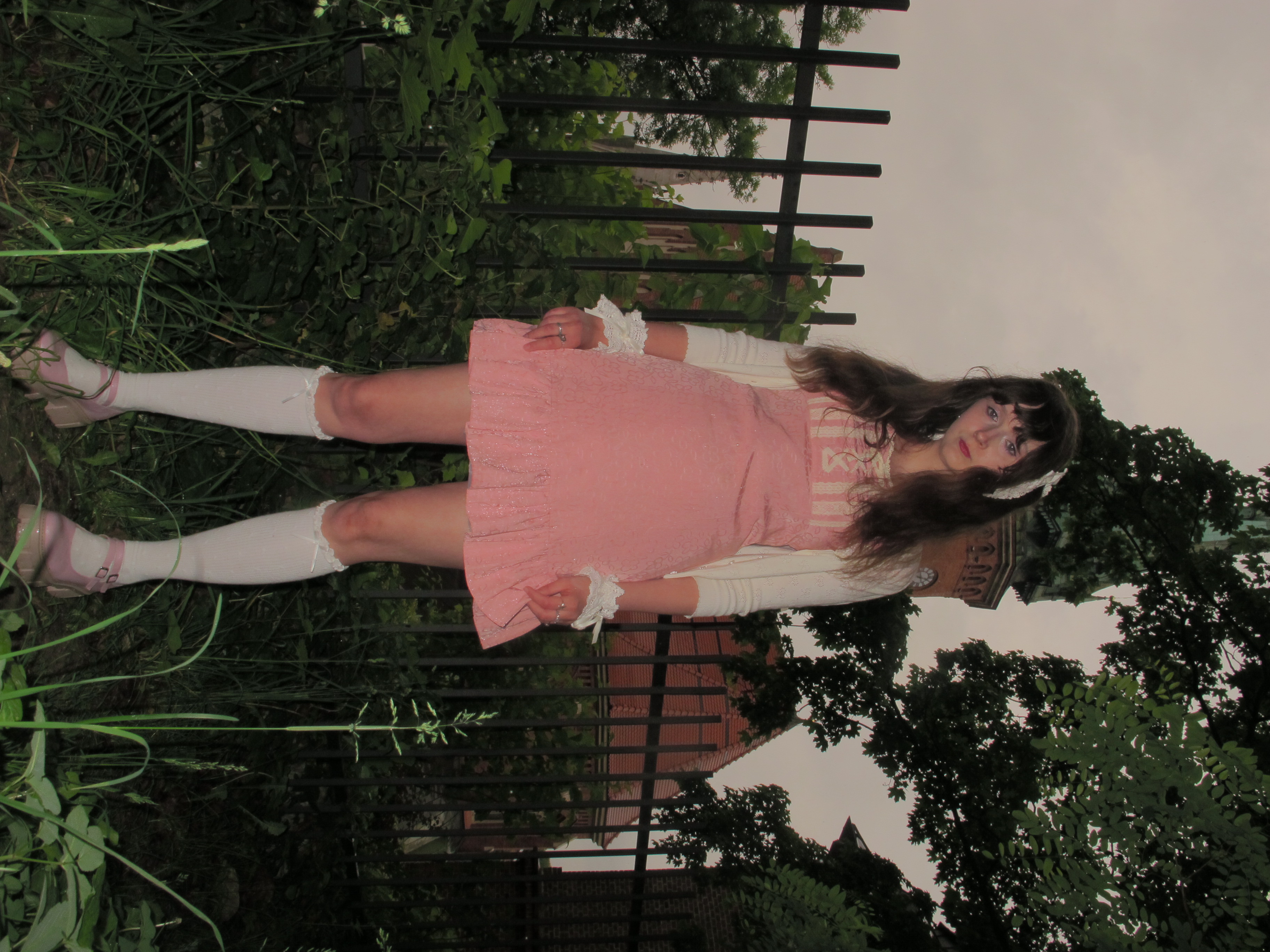 Photograph 22